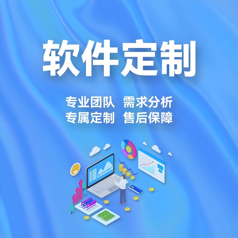 软件定制开发:企业数字化转型的定制化解决方案